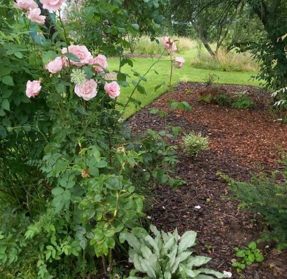 مبيت وإفطار Gite Du Jardin Du Bout Du Ciel