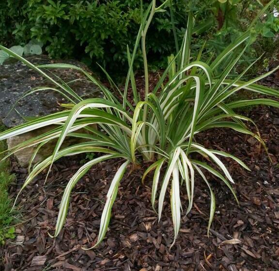 مبيت وإفطار Gite Du Jardin Du Bout Du Ciel