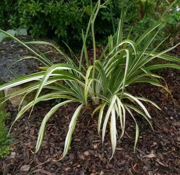 Aamiaismajoitus (B&B) Gite Du Jardin Du Bout Du Ciel