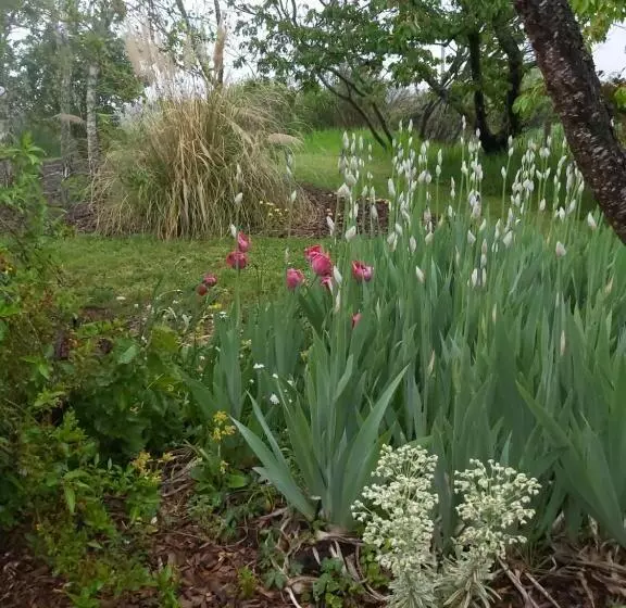 Aamiaismajoitus (B&B) Gite Du Jardin Du Bout Du Ciel