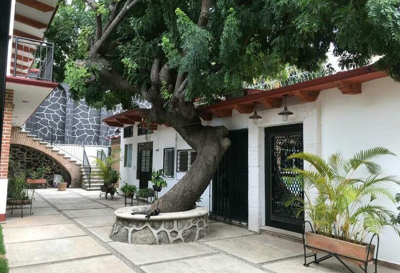 Villa Familiar El Ciruelo