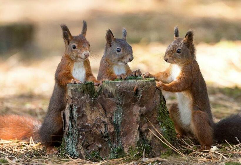 민박 Formby Guest House