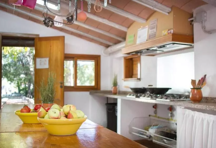 ユースホステル Riera Dagres Relax Rural Grupos