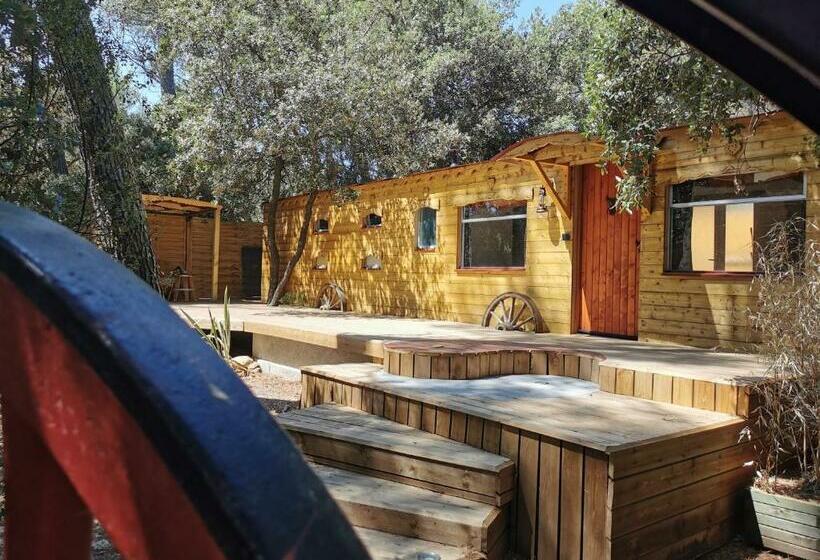 Bed and Breakfast Interlude