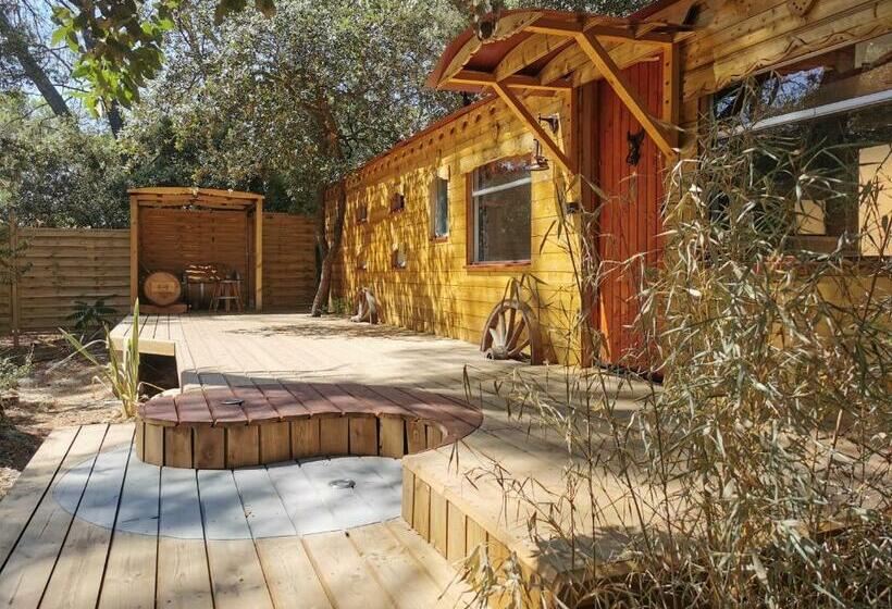 Bed and Breakfast Interlude