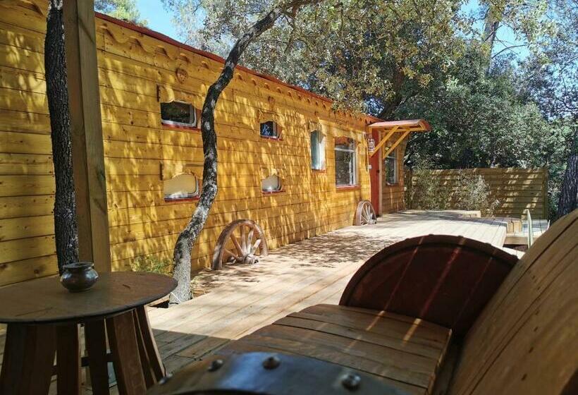 Bed and Breakfast Interlude