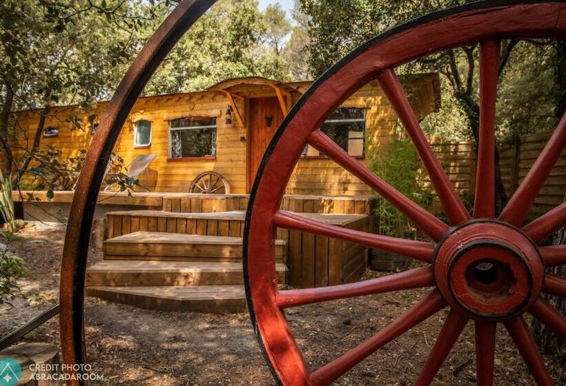 住宿加早餐 Interlude