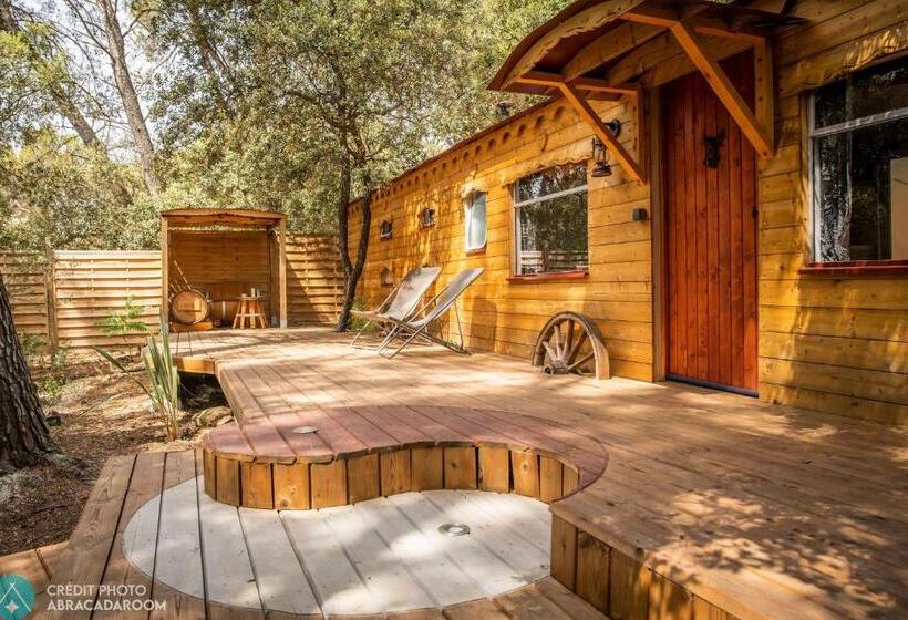 Bed and Breakfast Interlude