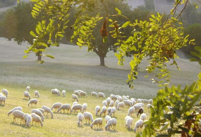 Bed and Breakfast Piccolo Gesto D Affetto
