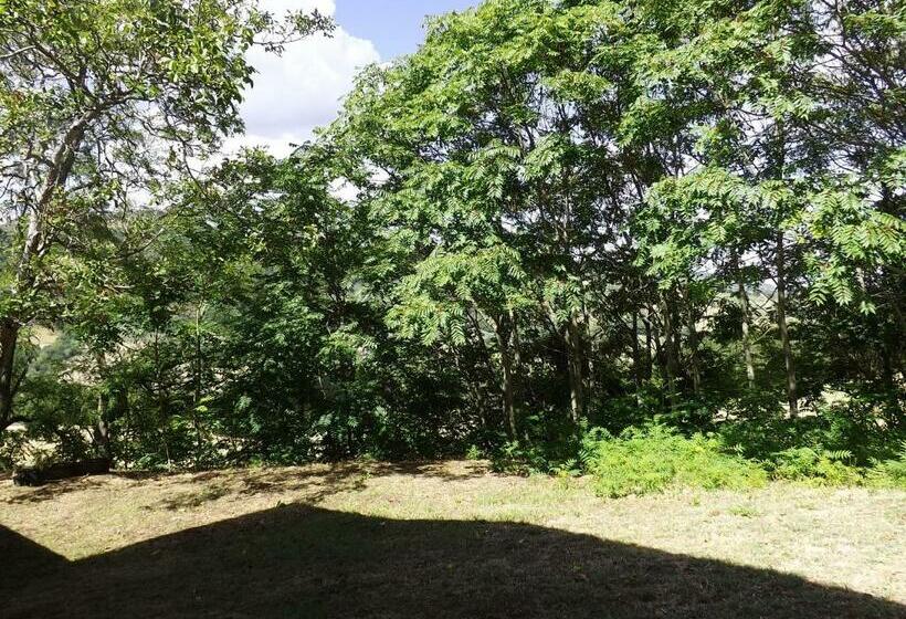 Bed and Breakfast Piccolo Gesto D Affetto