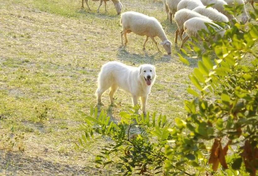Bed and Breakfast Piccolo Gesto D Affetto