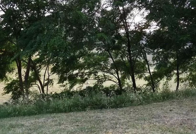 Aamiaismajoitus (B&B) Piccolo Gesto D Affetto