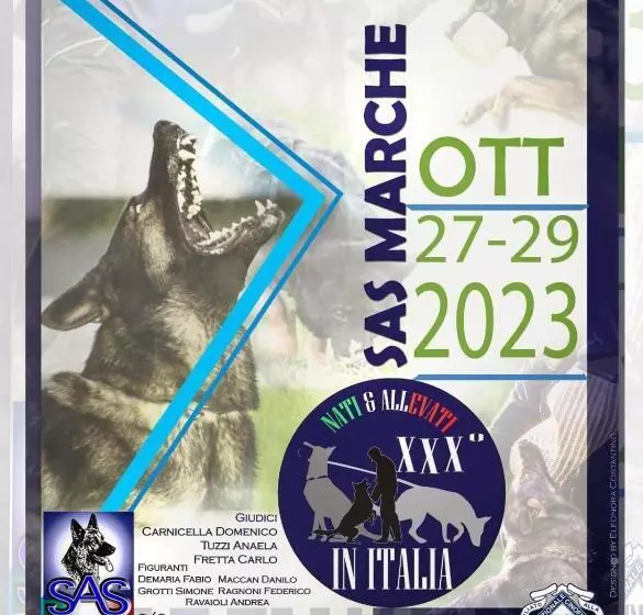 Aamiaismajoitus (B&B) Piccolo Gesto D Affetto