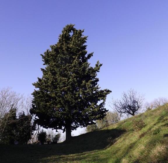 Bed and Breakfast Piccolo Gesto D Affetto