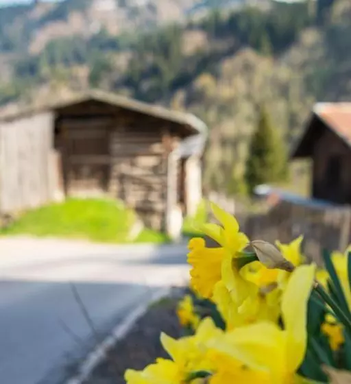 Casa Pasch   Boutique Bed And Breakfast In Cumpadials