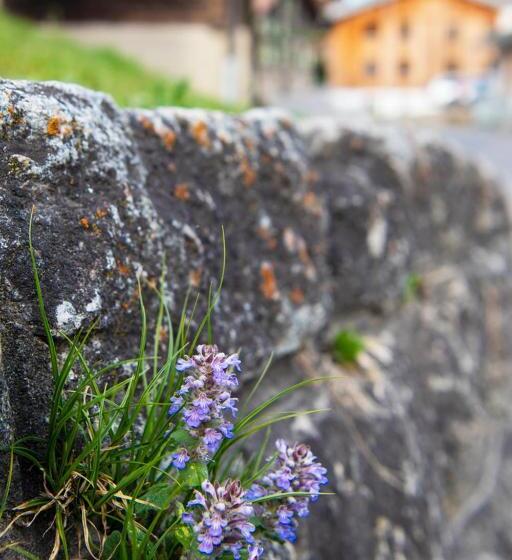 Casa Pasch   Boutique Bed And Breakfast In Cumpadials