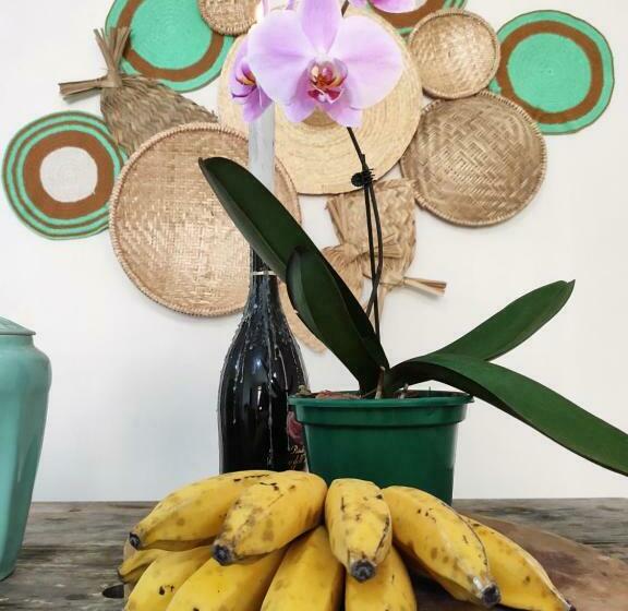 ペンション Casa De Temporada Em Bananeiras