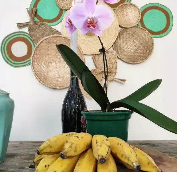 ペンション Casa De Temporada Em Bananeiras