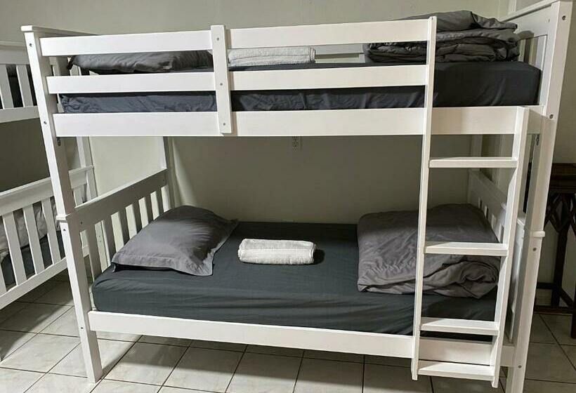 Albergue Single Size Bottom Bunk Bed   Mixed Shared