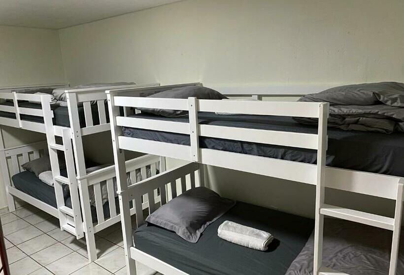 Albergue Single Size Bottom Bunk Bed   Mixed Shared
