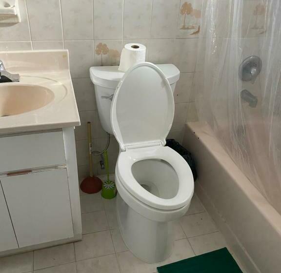 Albergue Single Size Bottom Bunk Bed   Mixed Shared