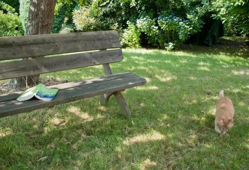 Aamiaismajoitus (B&B) Wellintown Guest House