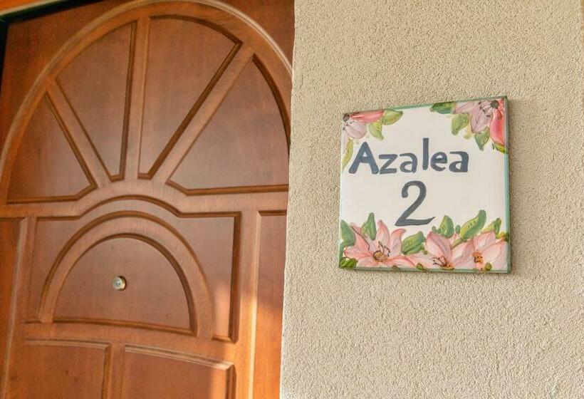 Il Mandorlo Fiorito Bed And Breakfast