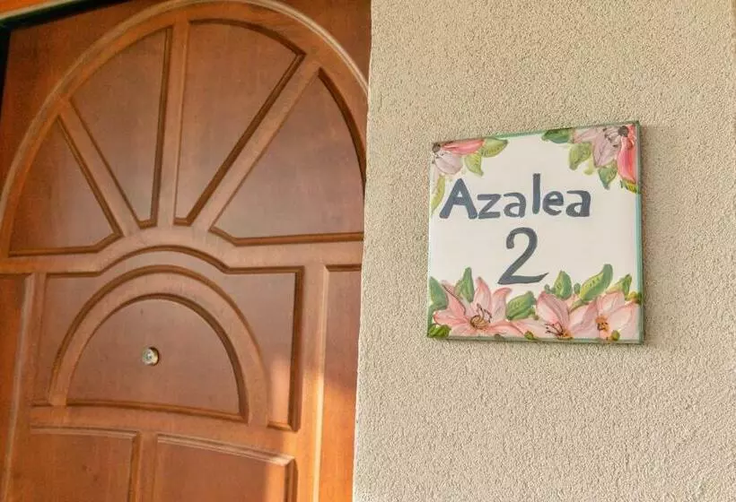 Il Mandorlo Fiorito Bed And Breakfast