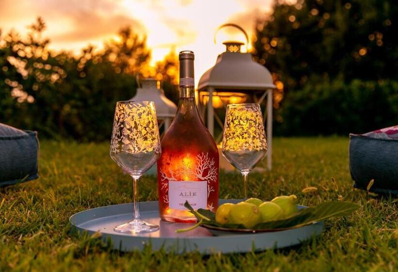 Il Mandorlo Fiorito Bed And Breakfast