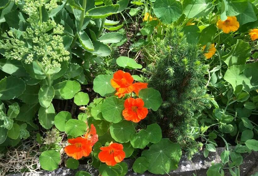 Gästehaus Zur Schmiede