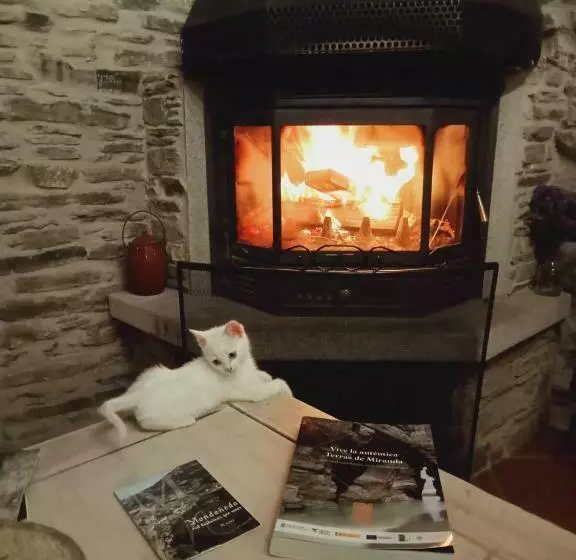 ペンション A Casa Das Augas