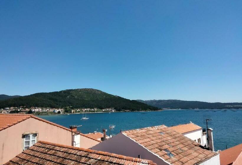 膳宿费 A Casa De Lolita