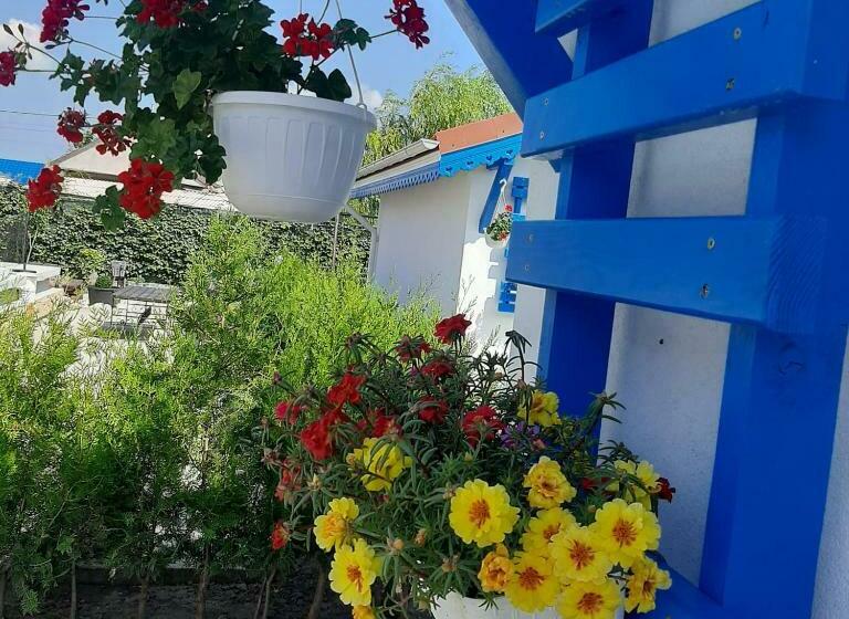 Пансион Complex Turistic Essenza