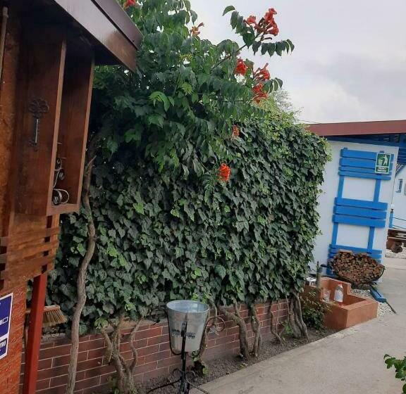 Пансион Complex Turistic Essenza