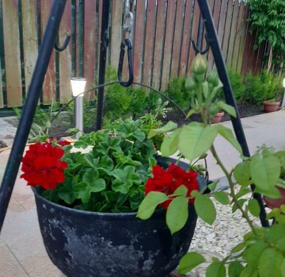 Пансион Complex Turistic Essenza