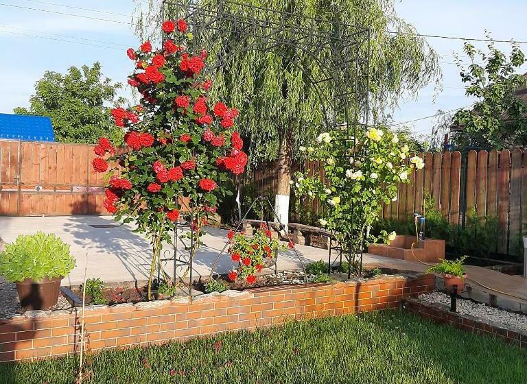 Пансион Complex Turistic Essenza