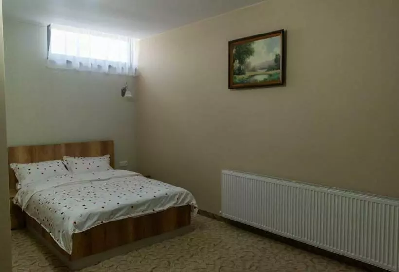 Pensiunea La Profi