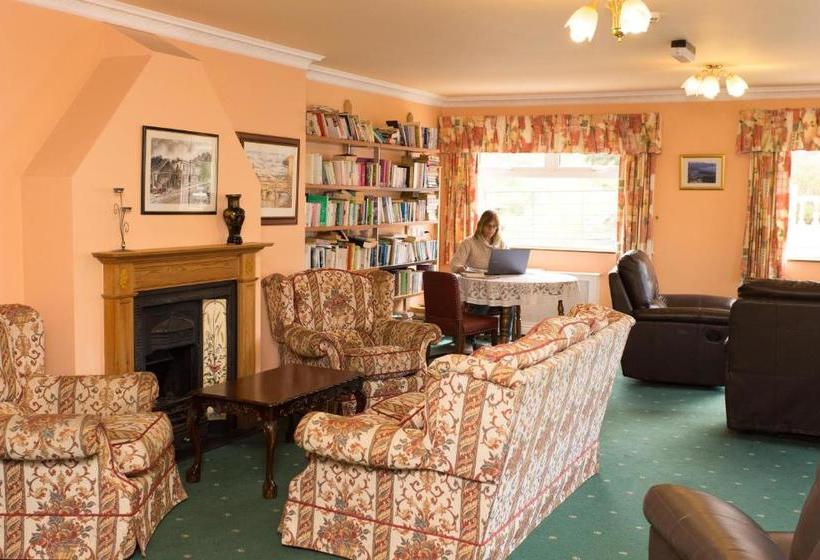 The Sleepy Camel Hostel