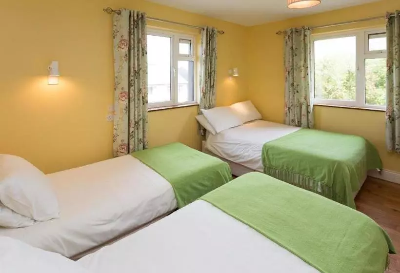 The Sleepy Camel Hostel