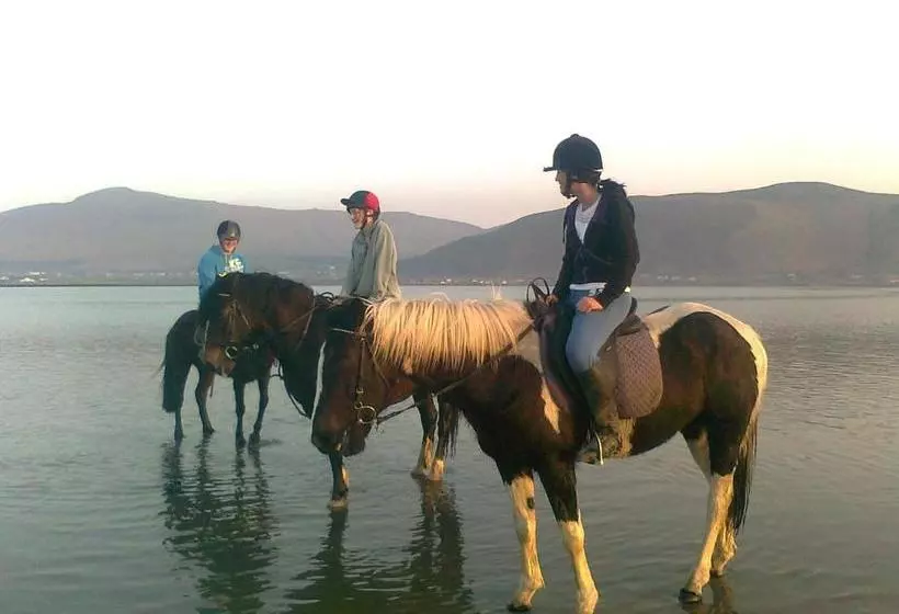 The Sleepy Camel Hostel