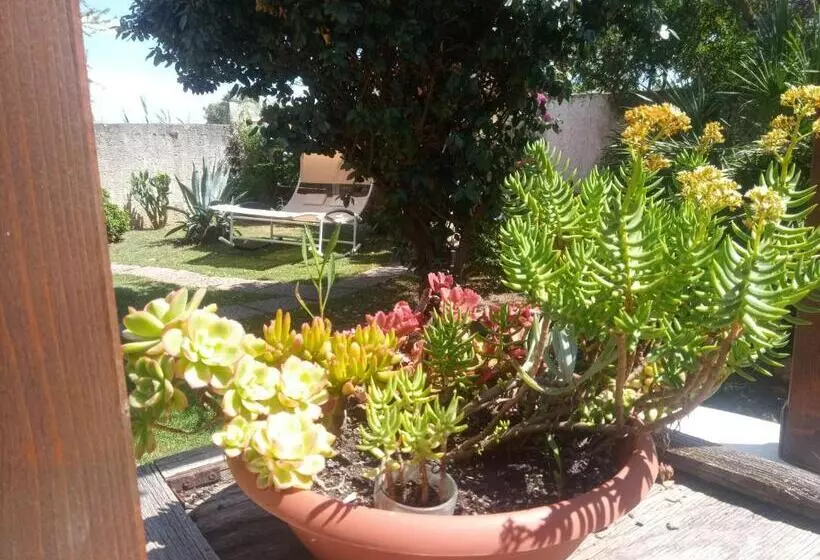 مبيت وإفطار West Coast