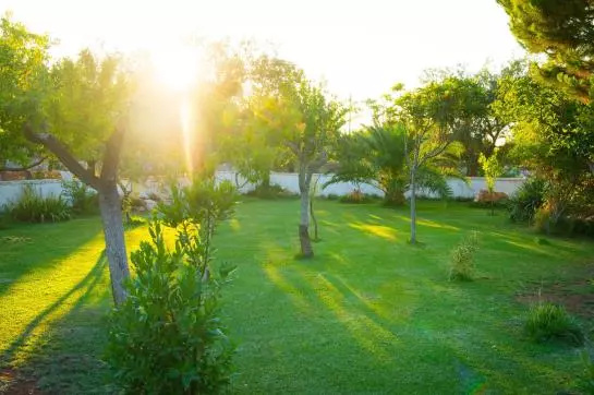 Bed & Breakfast Masseria Cesarina