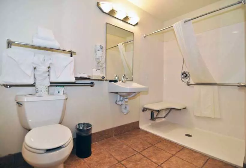 酒店 Best Western Plus Eagleridge Inn & Suites