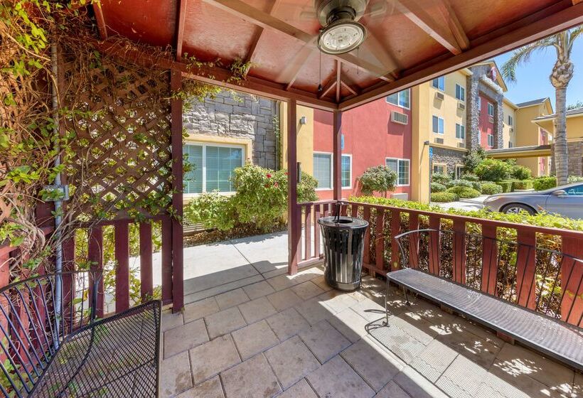 فندق Best Western Plus Wasco Inn & Suites