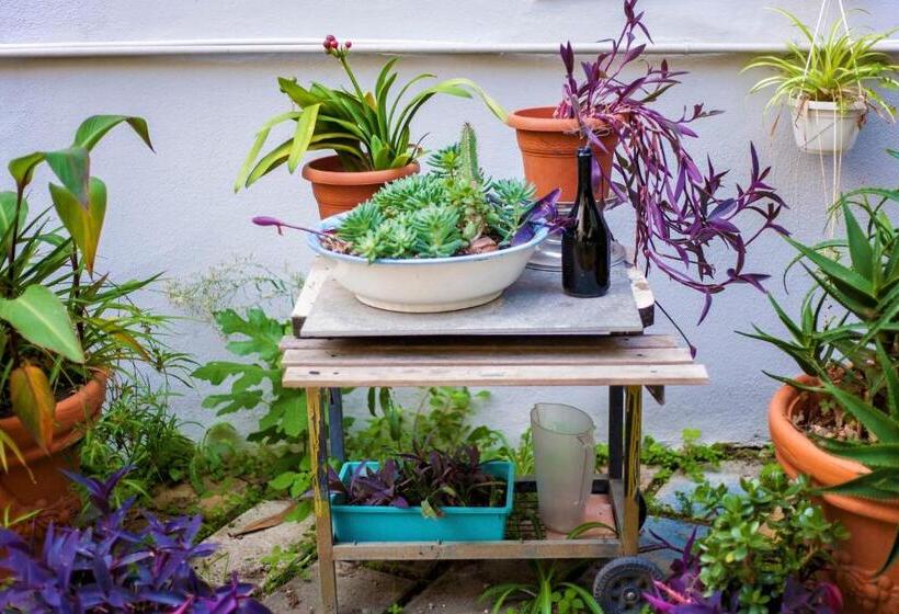 La Controra Hostel Naples