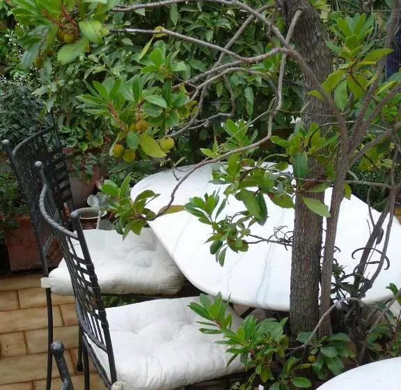 La Terrazza Dei Pelargoni B&b