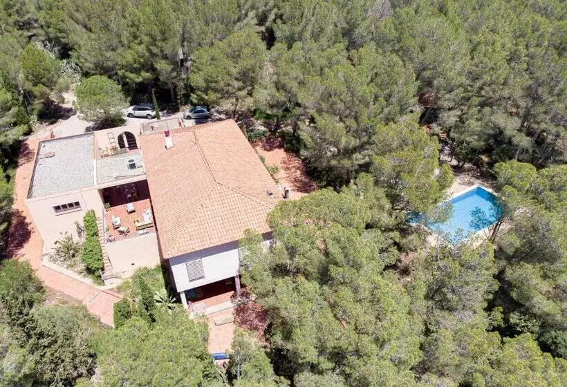 Aamiaismajoitus (B&B) Aldeamia, Forest, Mountain View, Beach At 8 Min