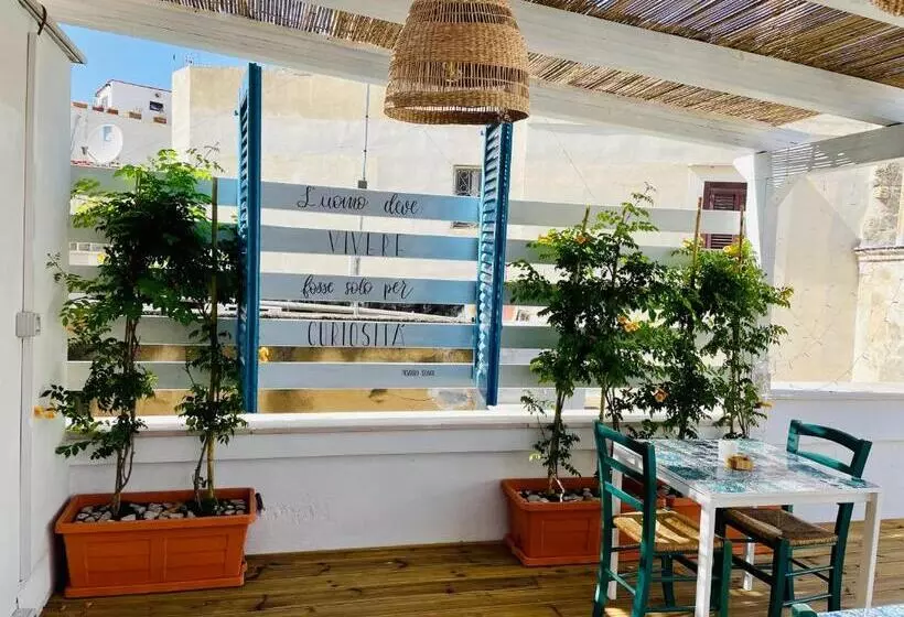 Aamiaismajoitus (B&B) La Giudecca Trani