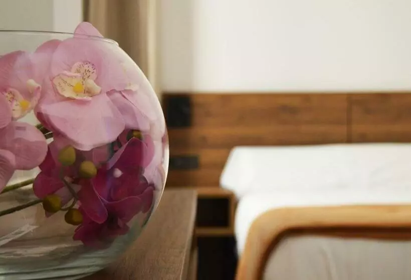 Hotelli Encanto Tarazona