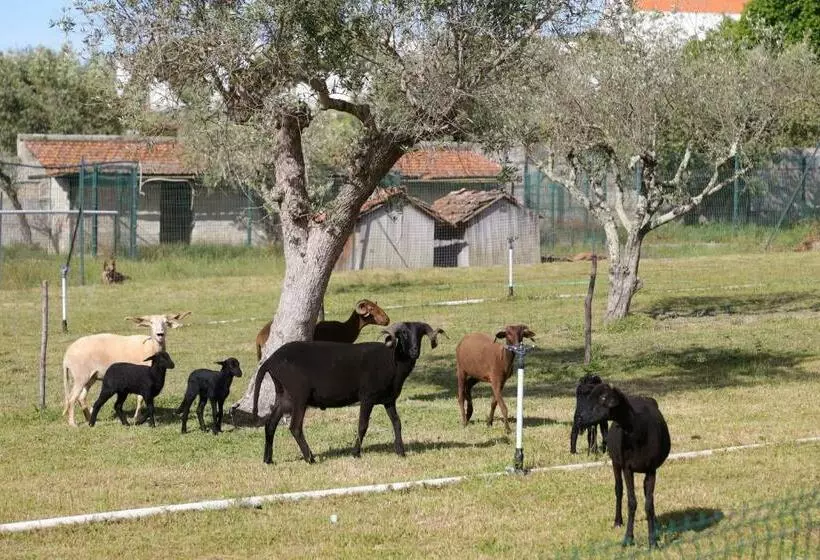 ホテル Quinta Dos Patos